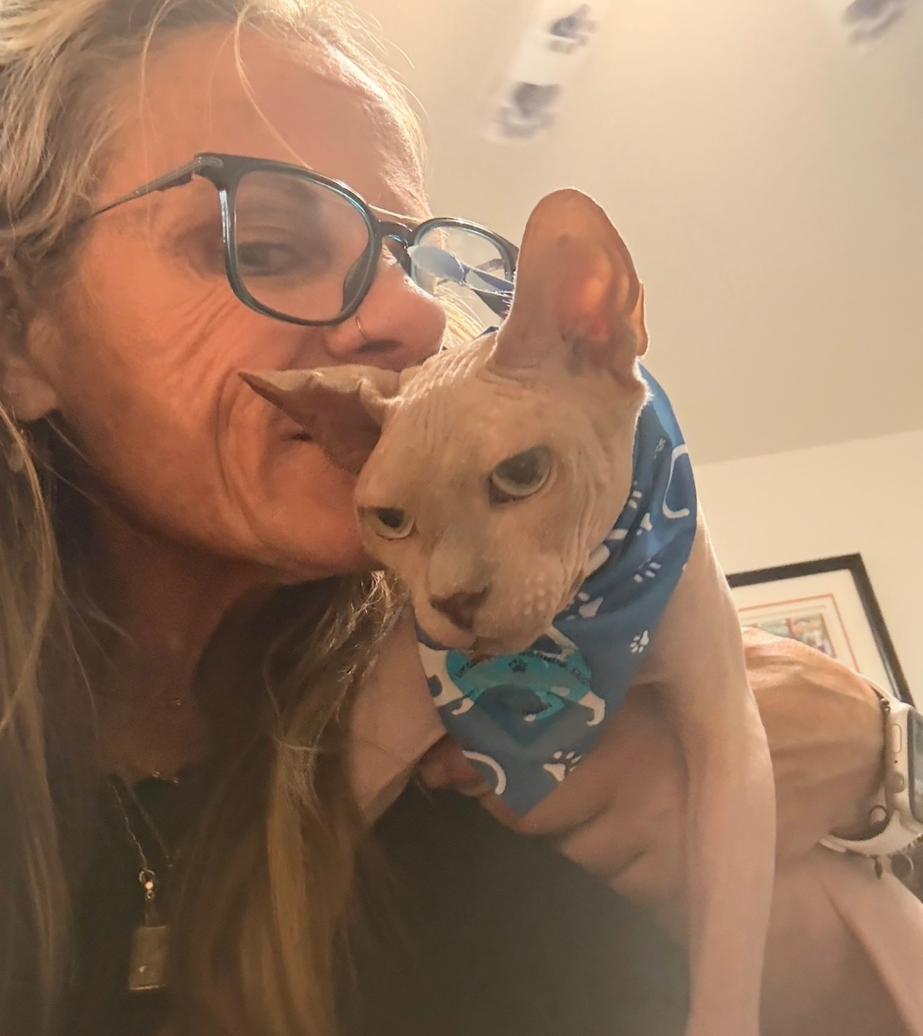 A white cat is sitting calmly inside a pet carrier, looking out with curious eyes.